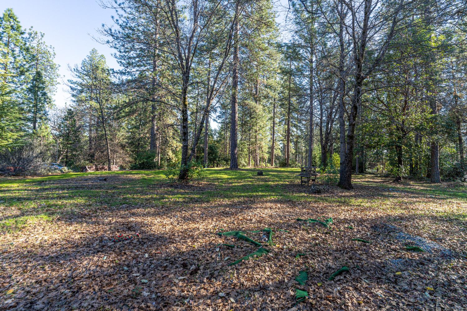 19654 Eagle Ridge Road Foresthill, CA 95631 - Photo 17 of 24