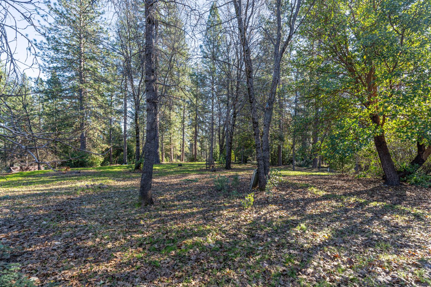 19654 Eagle Ridge Road Foresthill, CA 95631 - Photo 18 of 24
