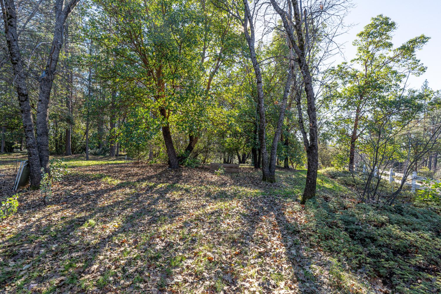19654 Eagle Ridge Road Foresthill, CA 95631 - Photo 19 of 24