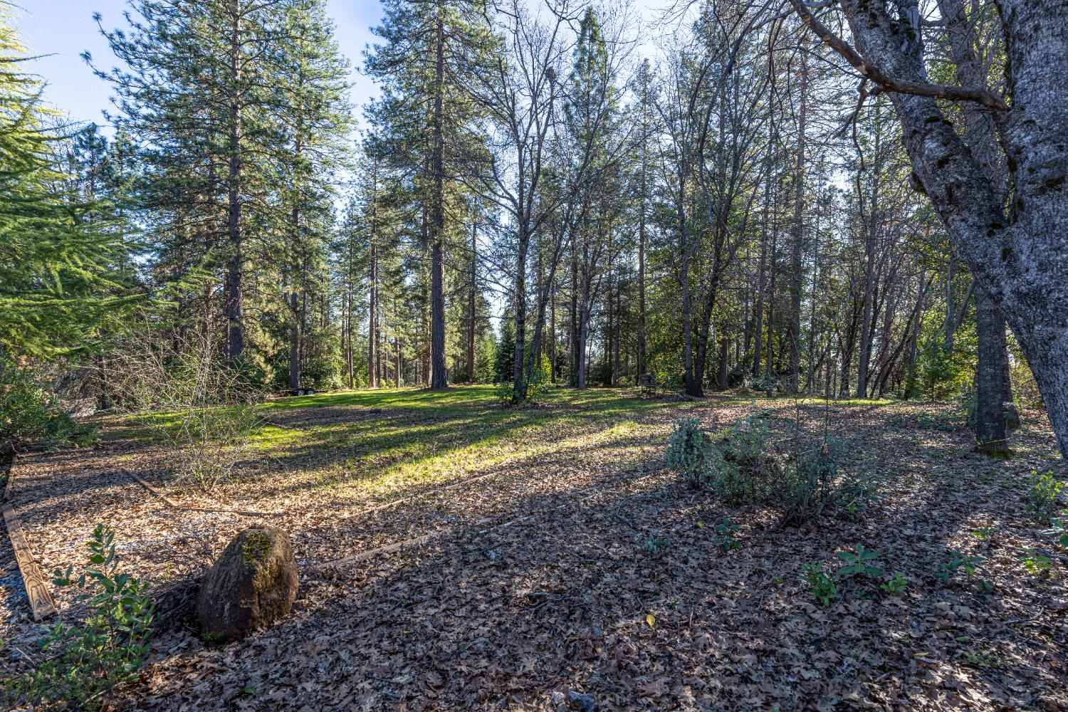 19654 Eagle Ridge Road Foresthill, CA 95631 - Photo 20 of 24