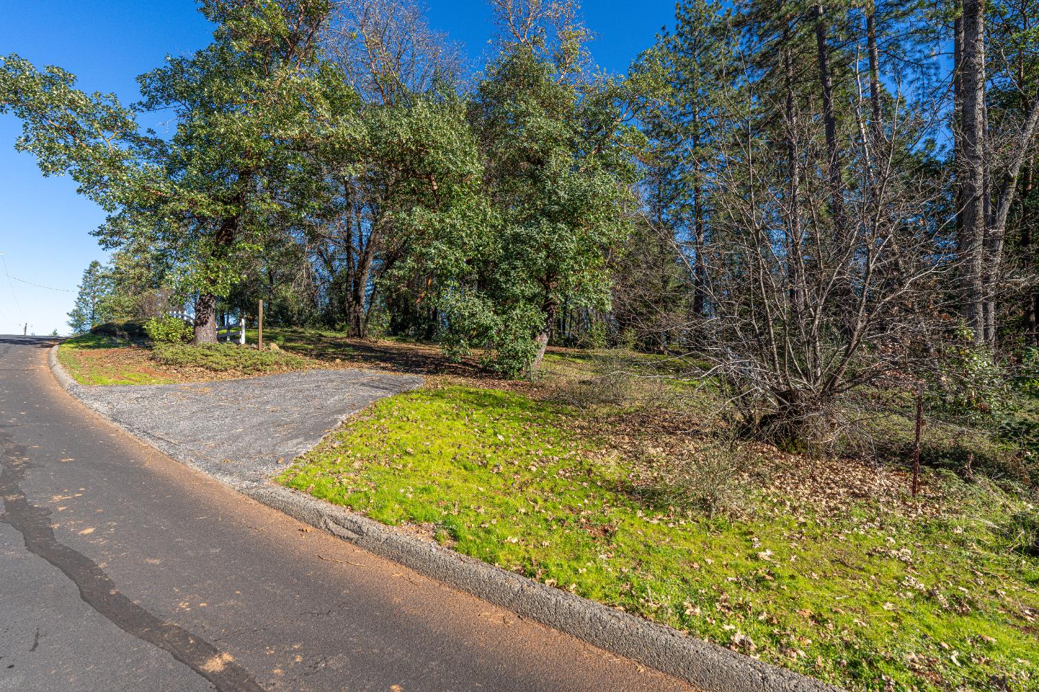 19654 Eagle Ridge Road Foresthill, CA 95631 - Photo 5 of 24