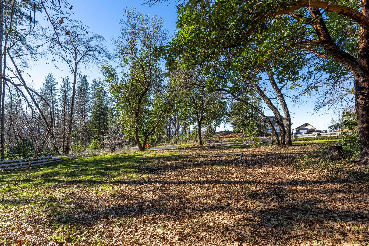 19654 Eagle Ridge Road Foresthill, CA 95631 - Photo 6 of 24