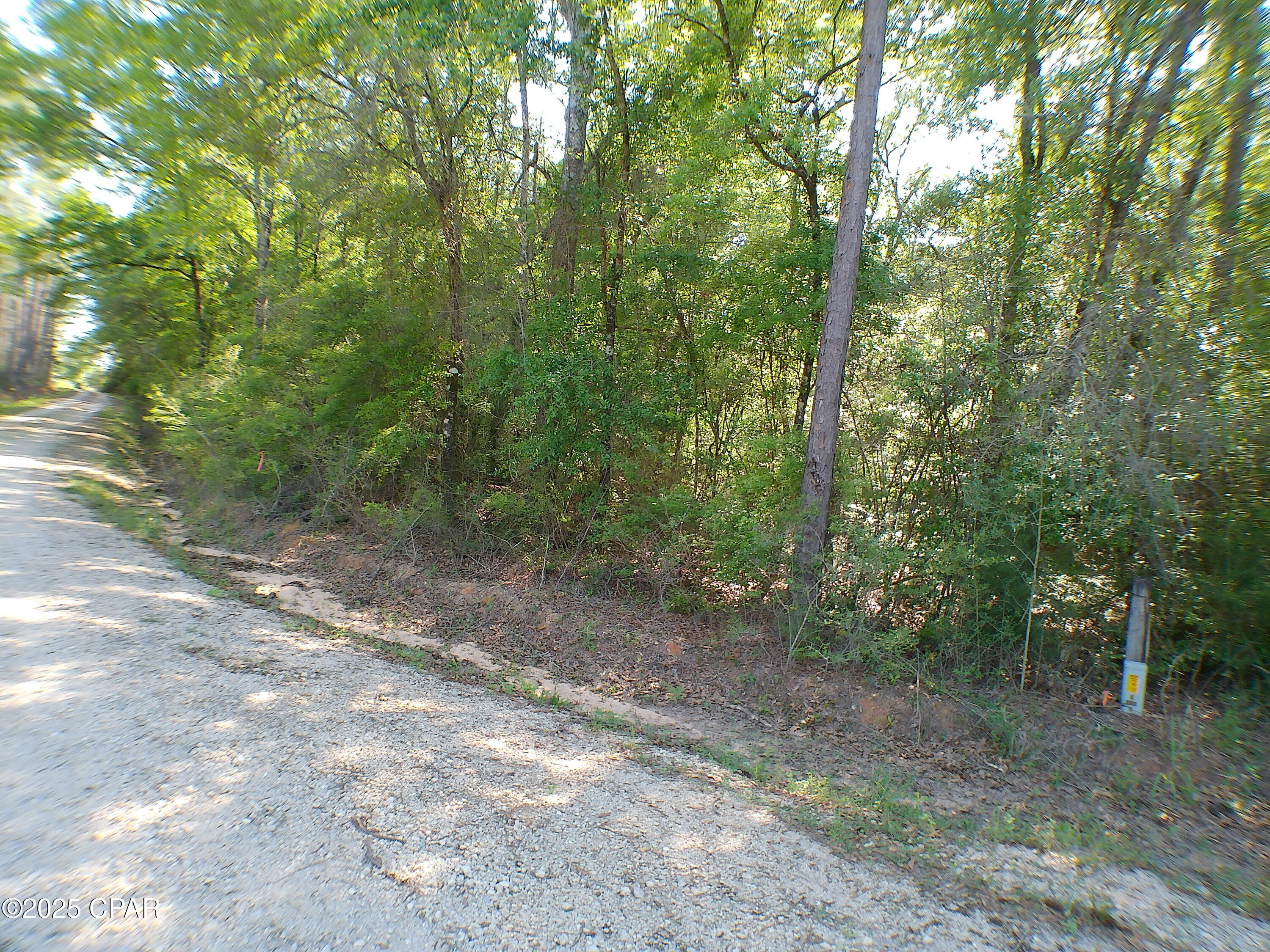 0 Christian Life Road, Unit 17 25 DeFuniak Springs, FL 32433 - Photo 8 of 14 Gallery Image 8