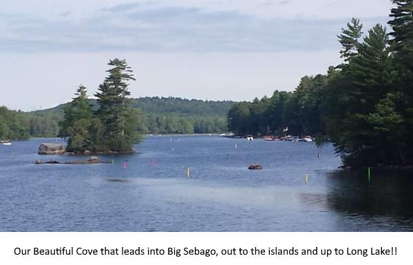 lots cove