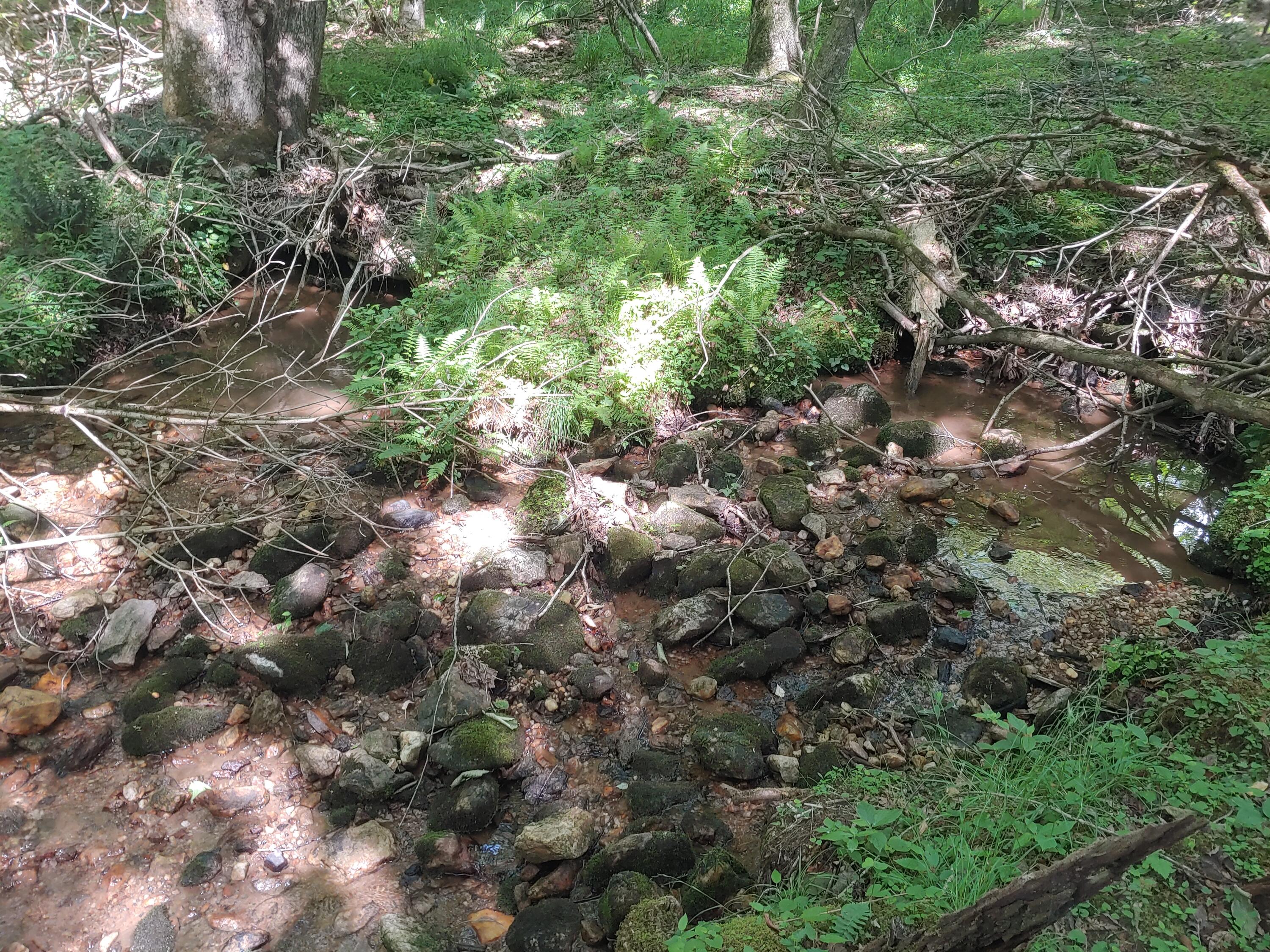 Tbd Nursery Road Laurel Fork, VA 24352 - Photo 10 of 13 0615241545