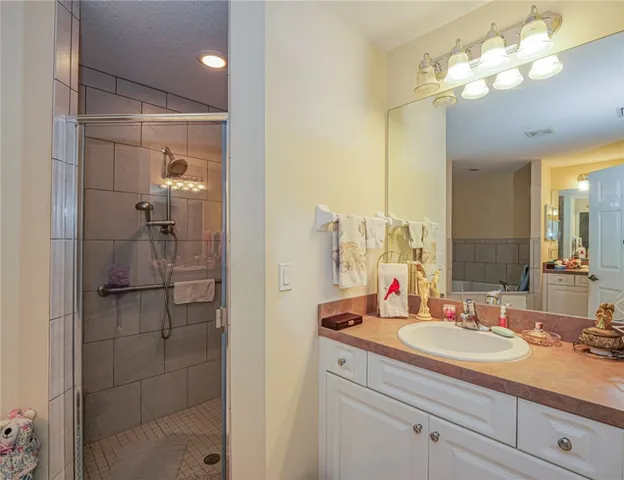 a bathroom with a shower sink and a mirror