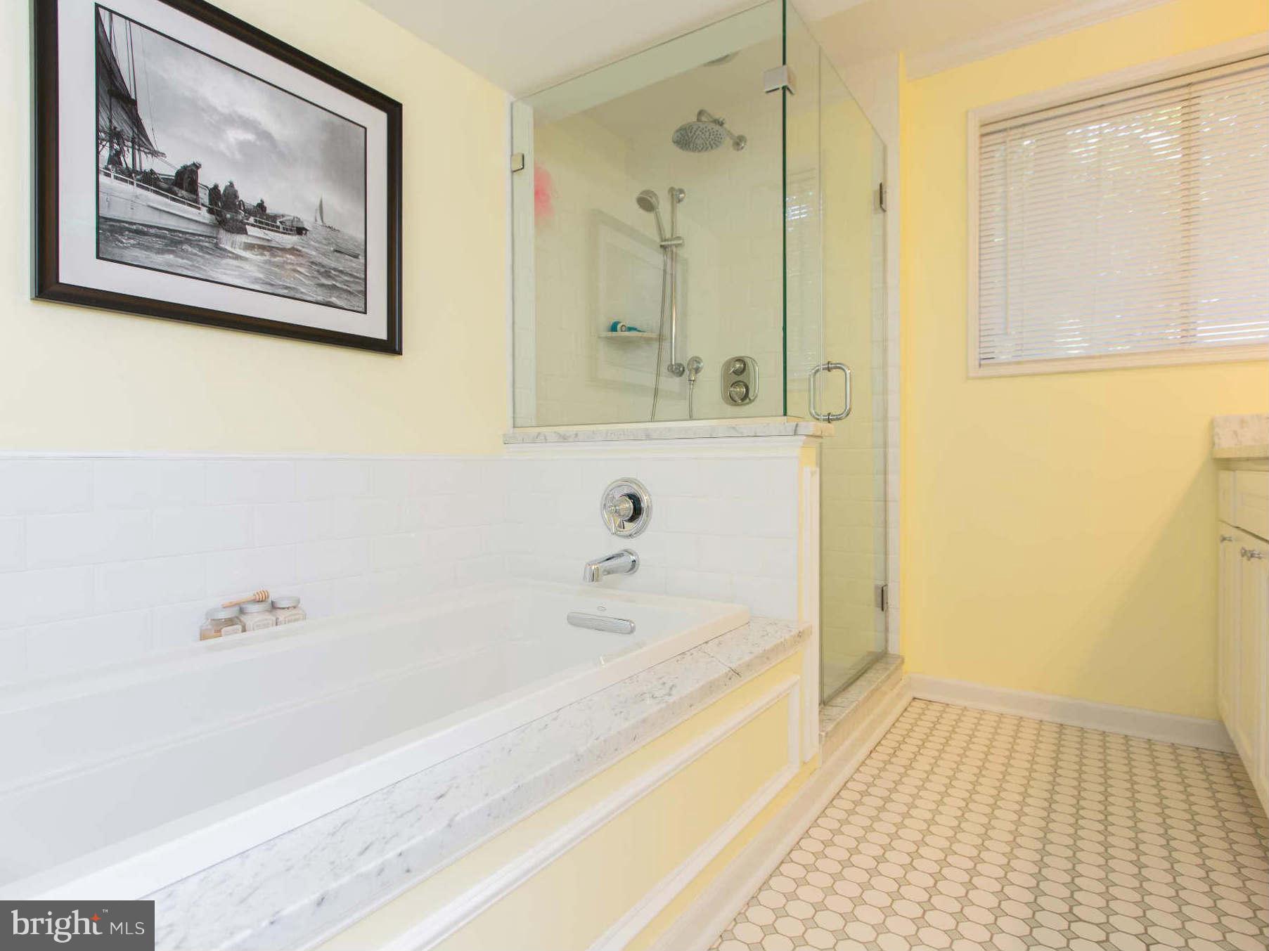 412 Halsey Road Annapolis, MD 21401 - Photo 14 of 28 Bath (Master)