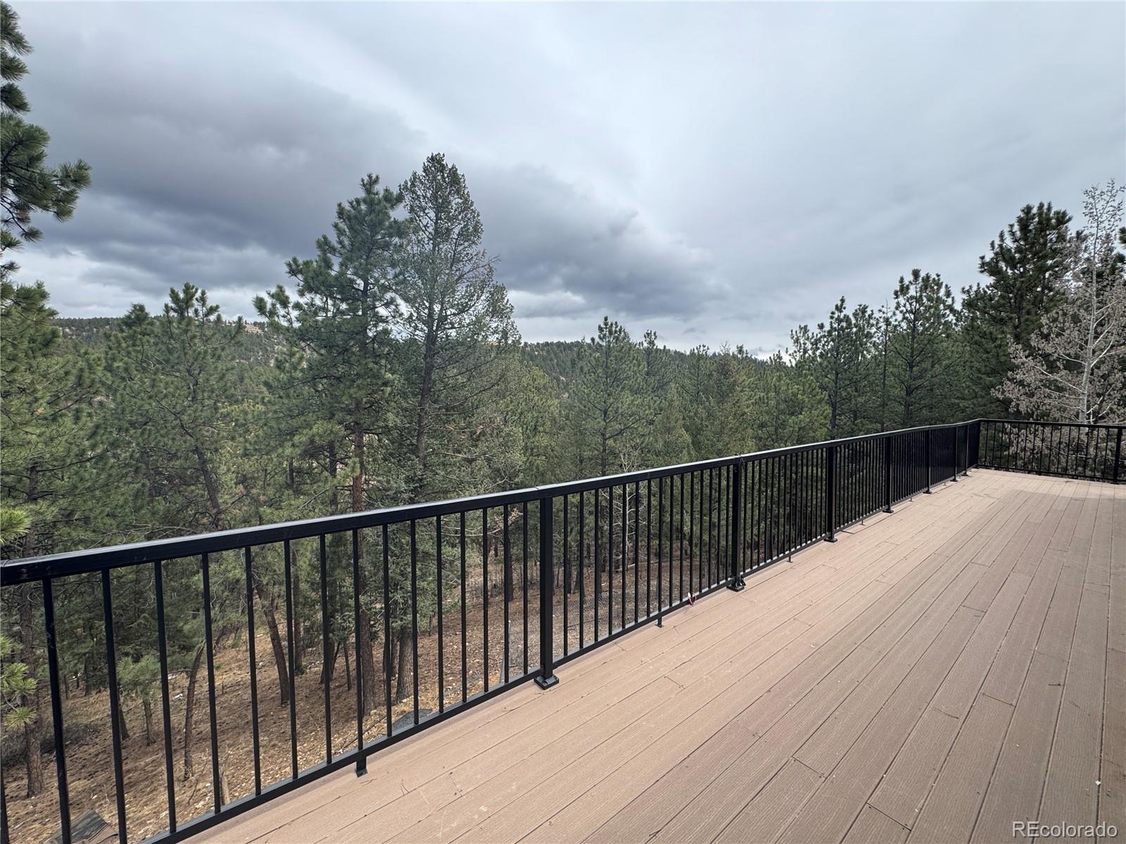 1534 Roland Drive Bailey, CO 80421 - Photo 23 of 26