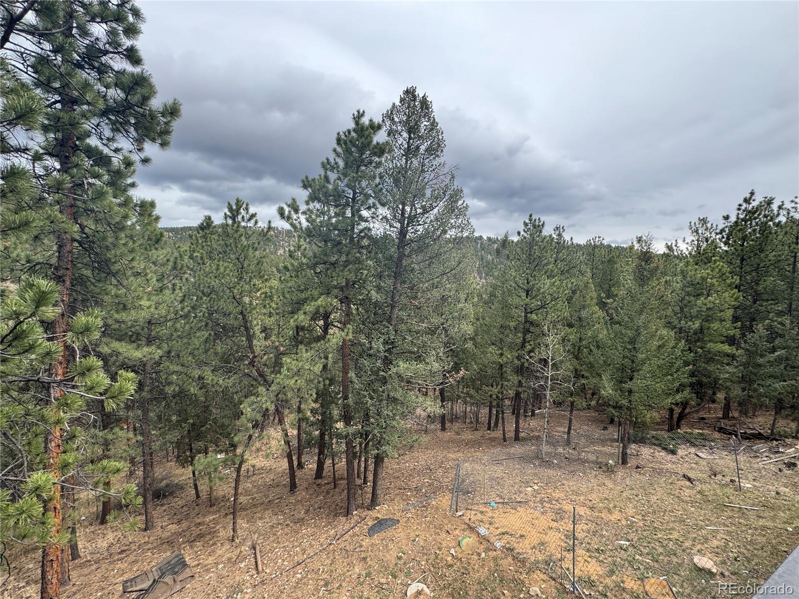 1534 Roland Drive Bailey, CO 80421 - Photo 24 of 26