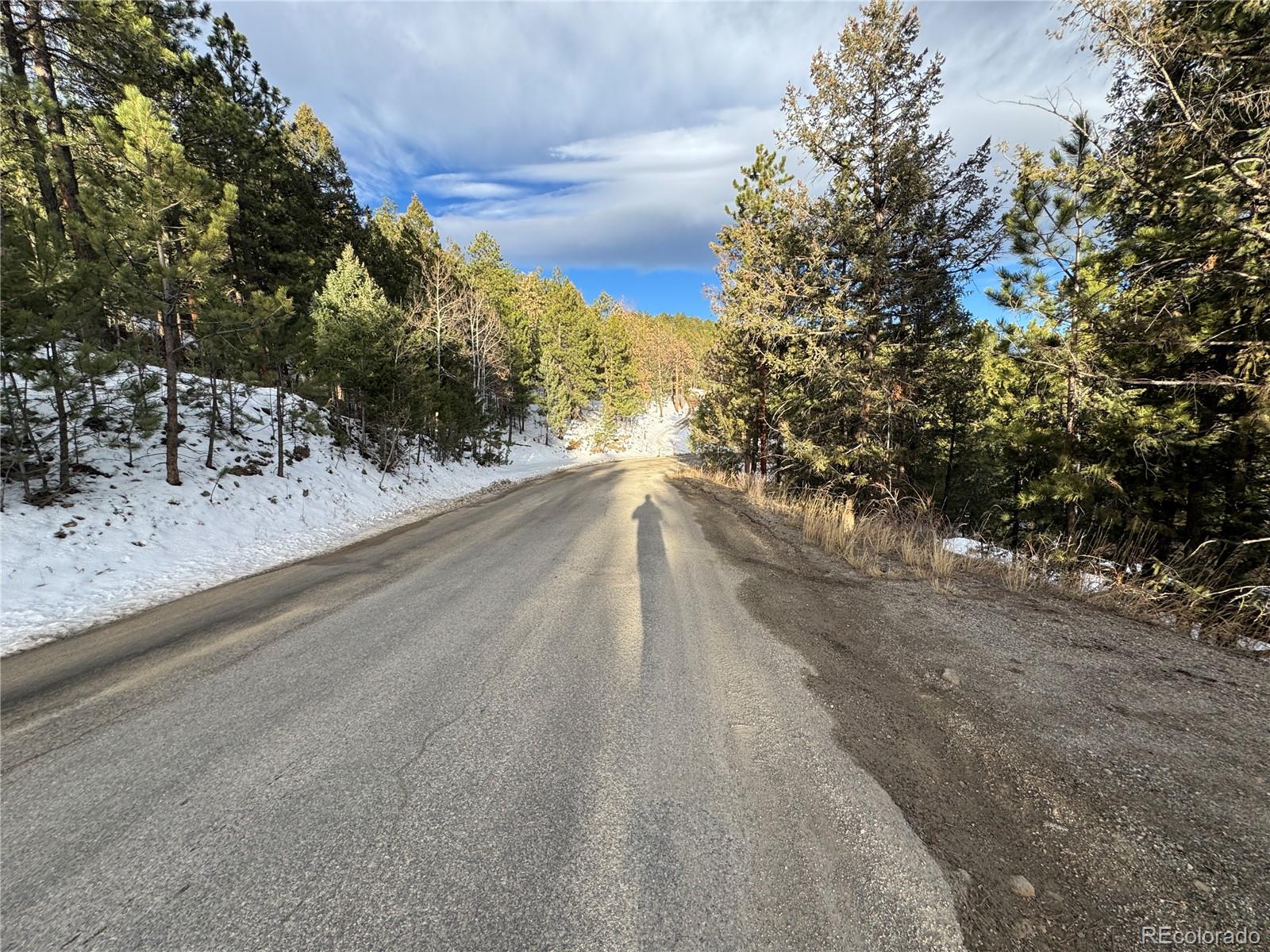 1534 Roland Drive Bailey, CO 80421 - Photo 26 of 26