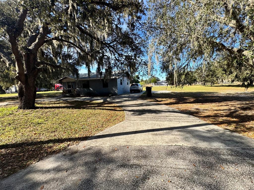 6230 Lake Luther Road Lakeland, FL 33805 - Photo 20 of 21 a view of a yard with large trees