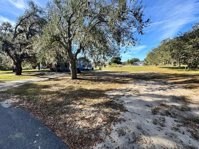 a view of large trees with wooden fence