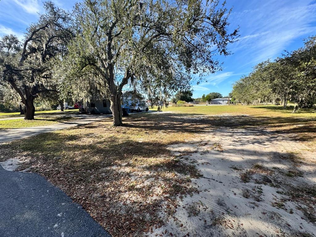 6230 Lake Luther Road Lakeland, FL 33805 - Photo 21 of 21 a view of large trees with wooden fence