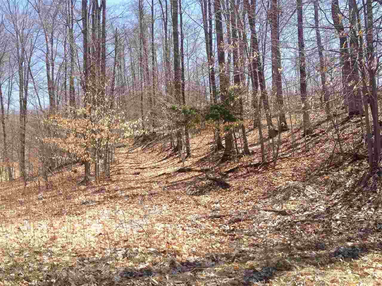 6140 Florey's Ranch Road Grawn, MI 49637 - Photo 39 of 40 1795817-48.JPG