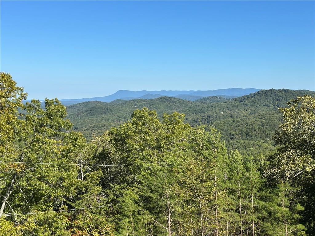 185 Stirratt Road Ranger, GA 30734 - Photo 48 of 59 a view of a city with lush green forest