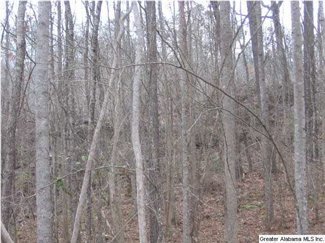 720 Sportsman Lake Road, Unit 4 2 AC Springville, AL 35146 - Photo 6 of 14