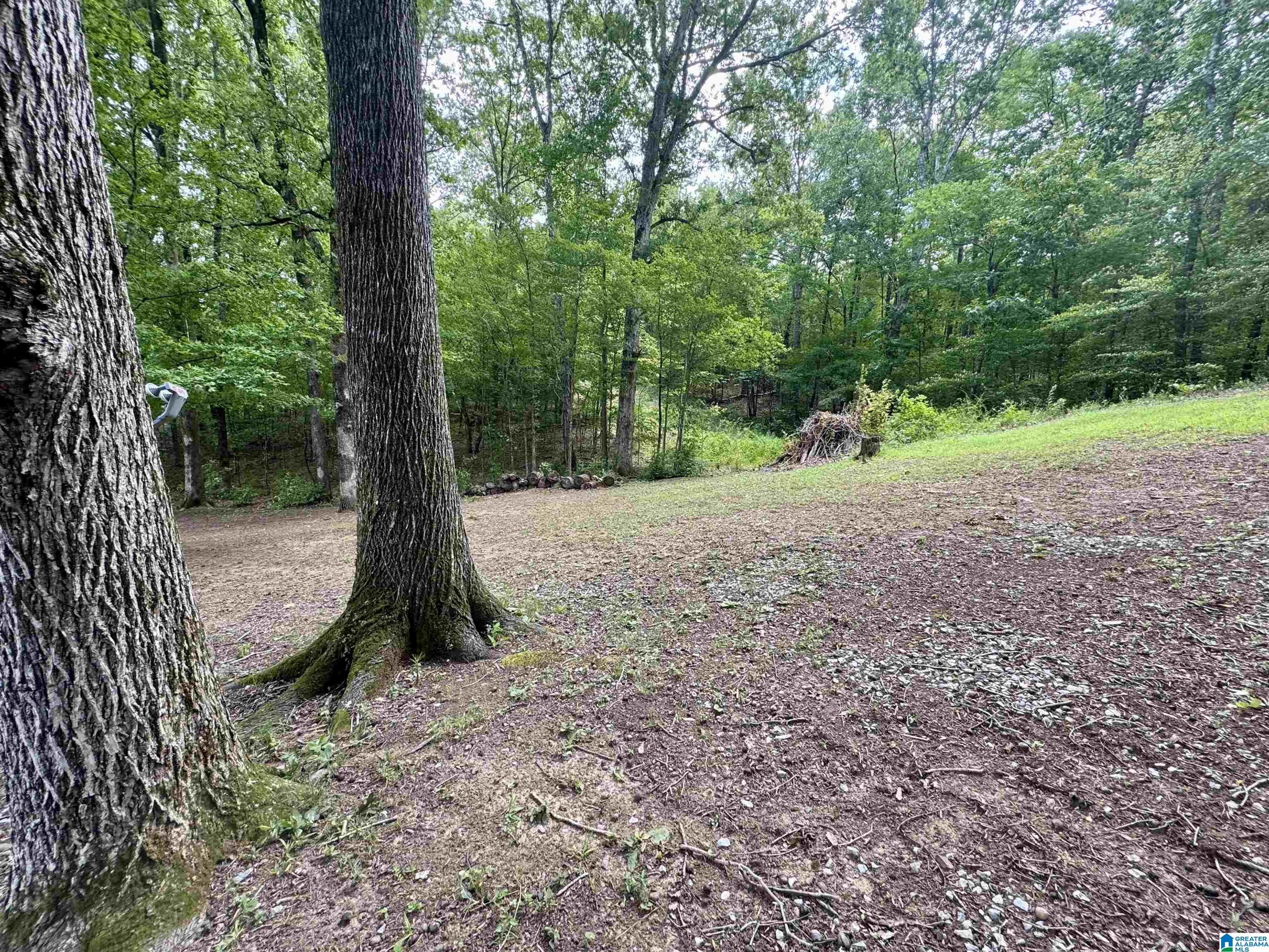 42 Two Stone Trail Sylacauga, AL 35151 - Photo 24 of 43