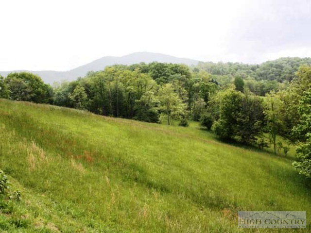 40 Big Ridge Road Independence, VA 24348 - Photo 4 of 14 Gallery Image 4