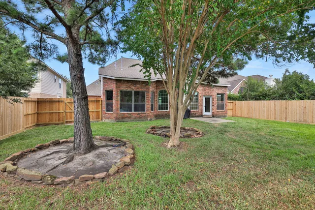 a backyard of a house with plants and large tree