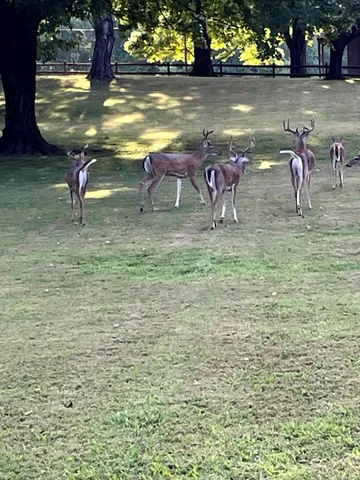 932 Hermitage Ridge, Hermitage, TN 37076