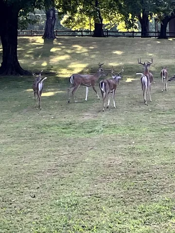 932 Hermitage Ridge, Hermitage, TN 37076