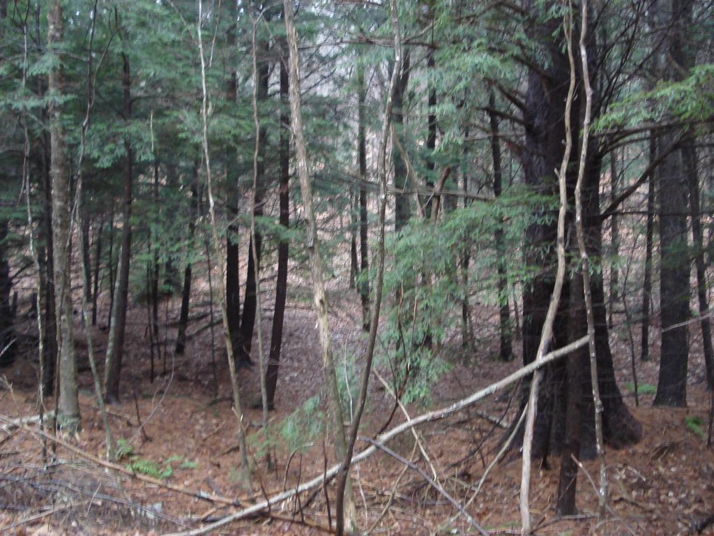 0 Cavendish Gulf Road Cavendish, VT 05142 - Photo 2 of 6