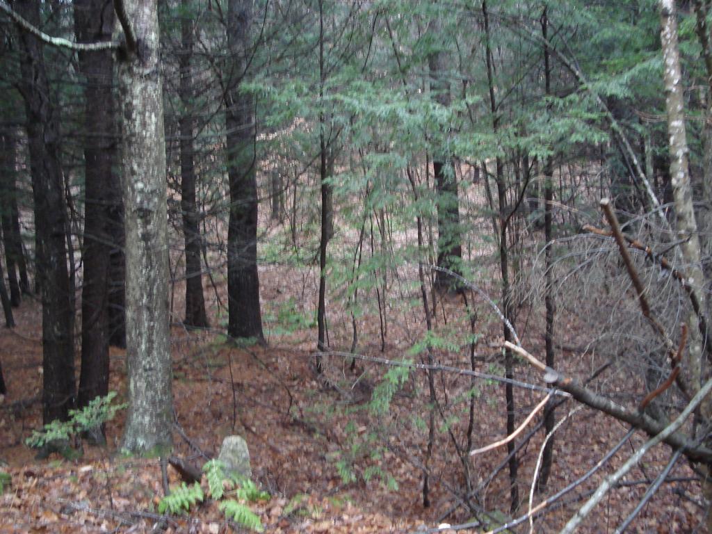 0 Cavendish Gulf Road Cavendish, VT 05142 - Photo 4 of 6