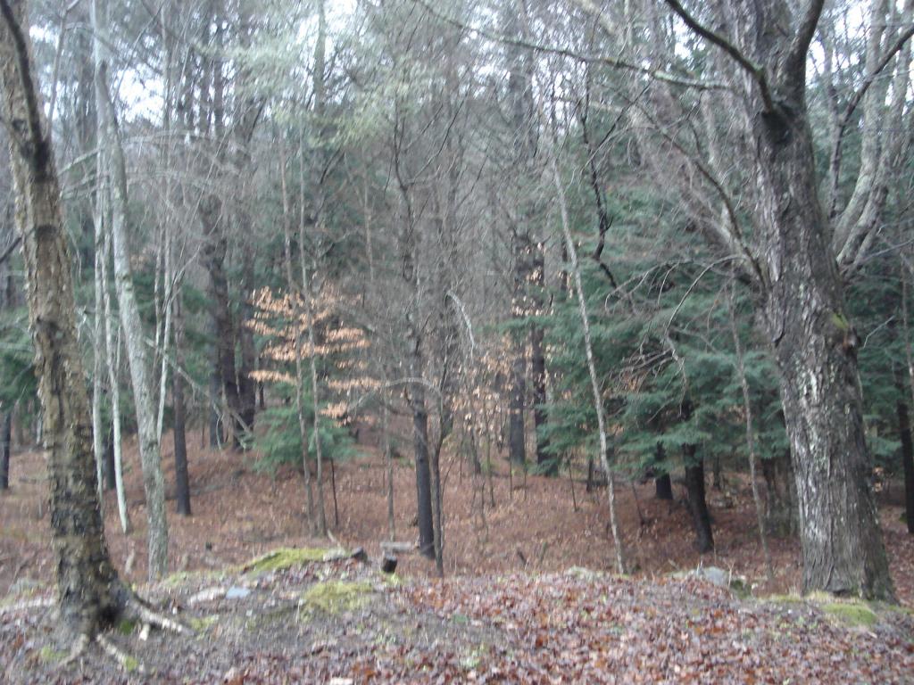 0 Cavendish Gulf Road Cavendish, VT 05142 - Photo 6 of 6