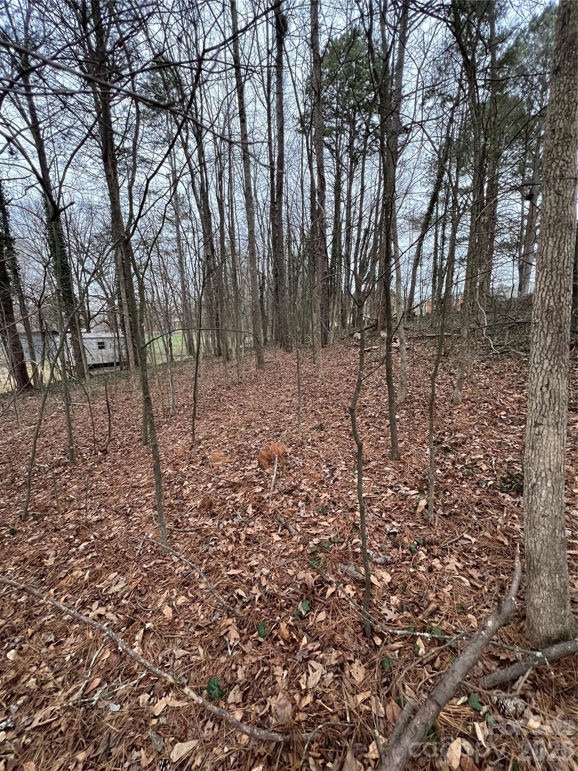 0 Singlewood Road Albemarle, NC 28001 - Photo 2 of 2