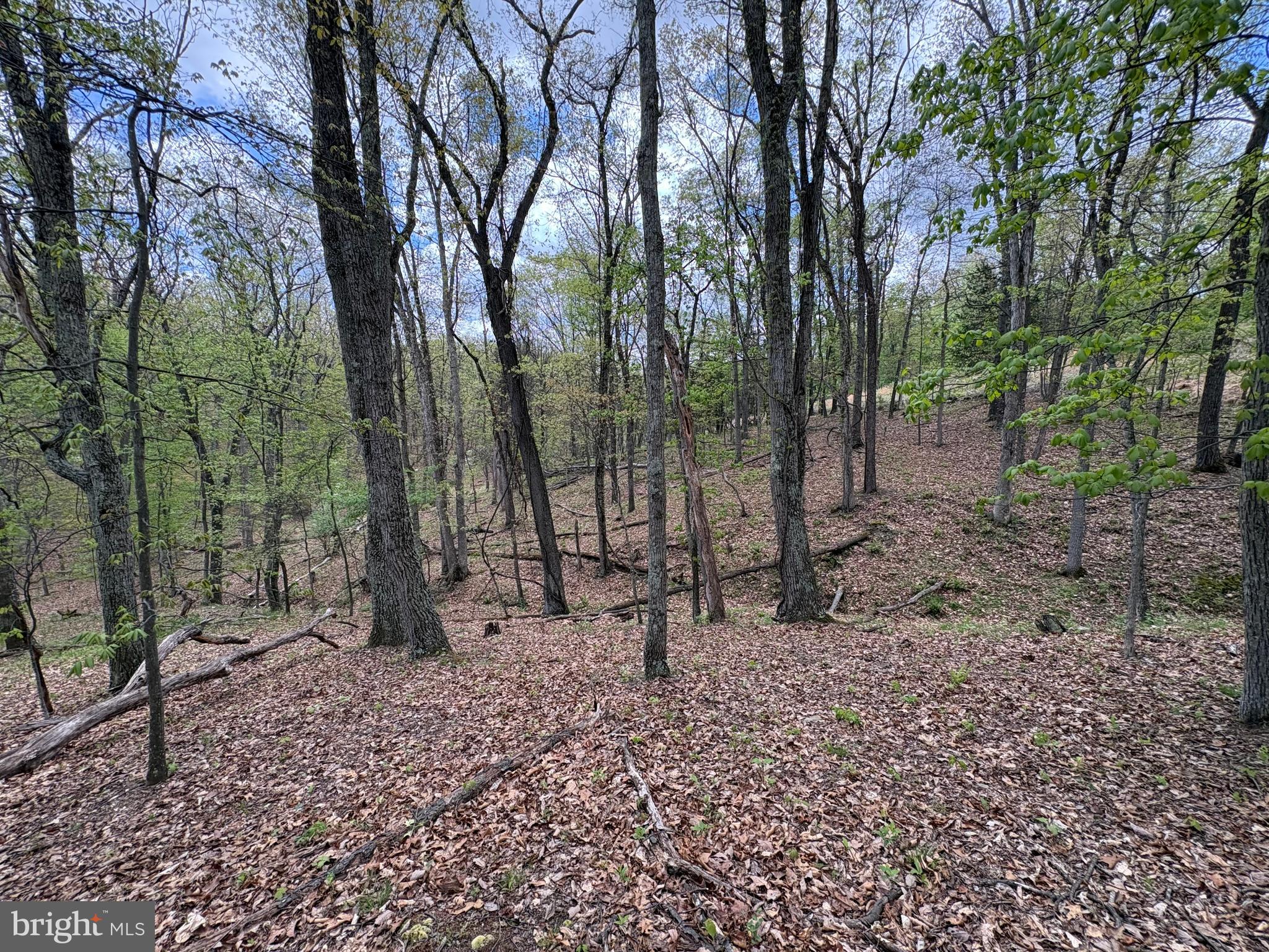 5-ac Beam Road Romney, WV 26757 - Photo 15 of 20 Gallery Image 15