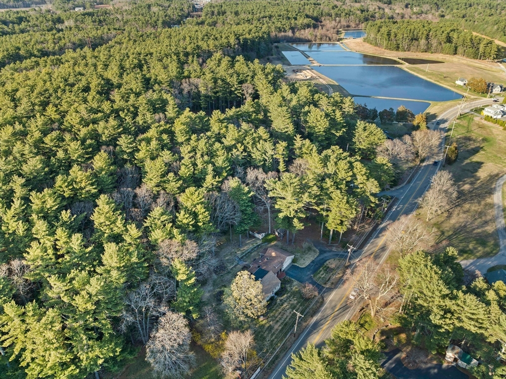 95 Wapping Road Kingston, MA 02364 - Photo 35 of 42 a view of a garden with plants