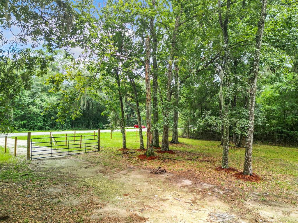 13026 Southwest Williston Road Micanopy, FL 32667 - Photo 7 of 30