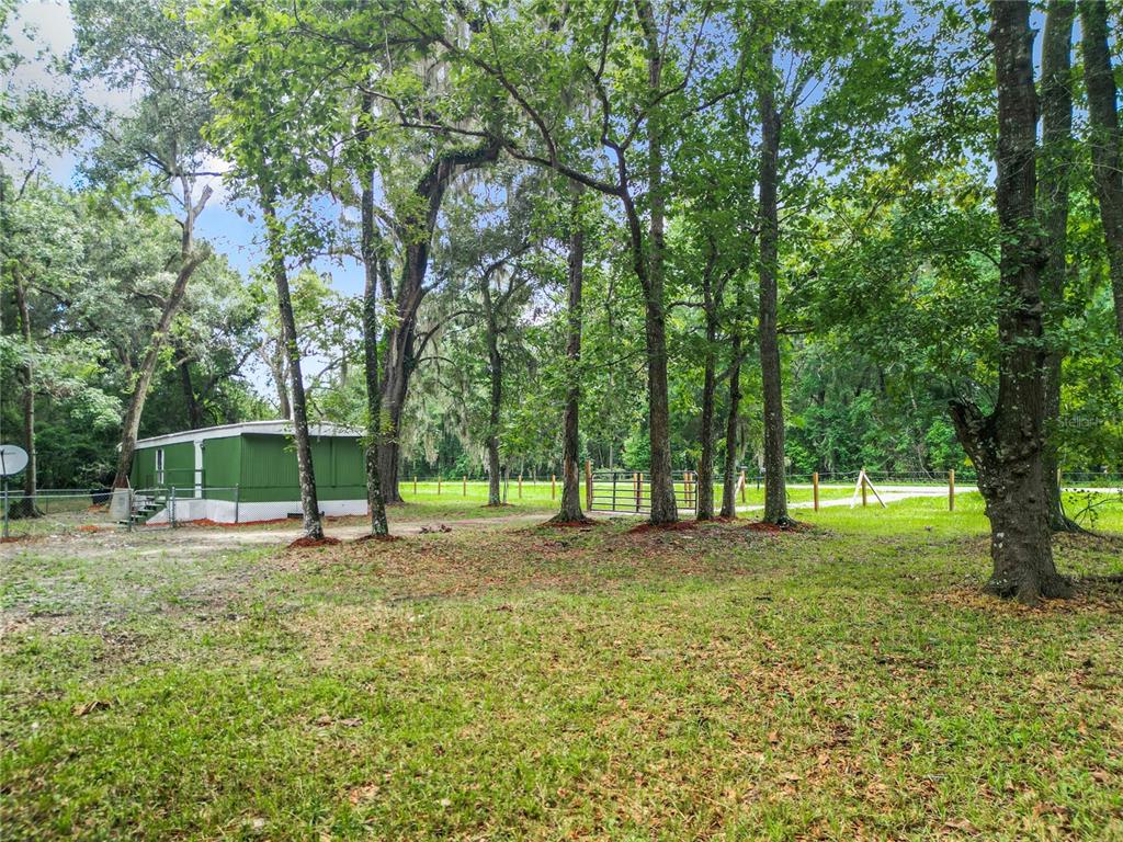 13026 Southwest Williston Road Micanopy, FL 32667 - Photo 8 of 30