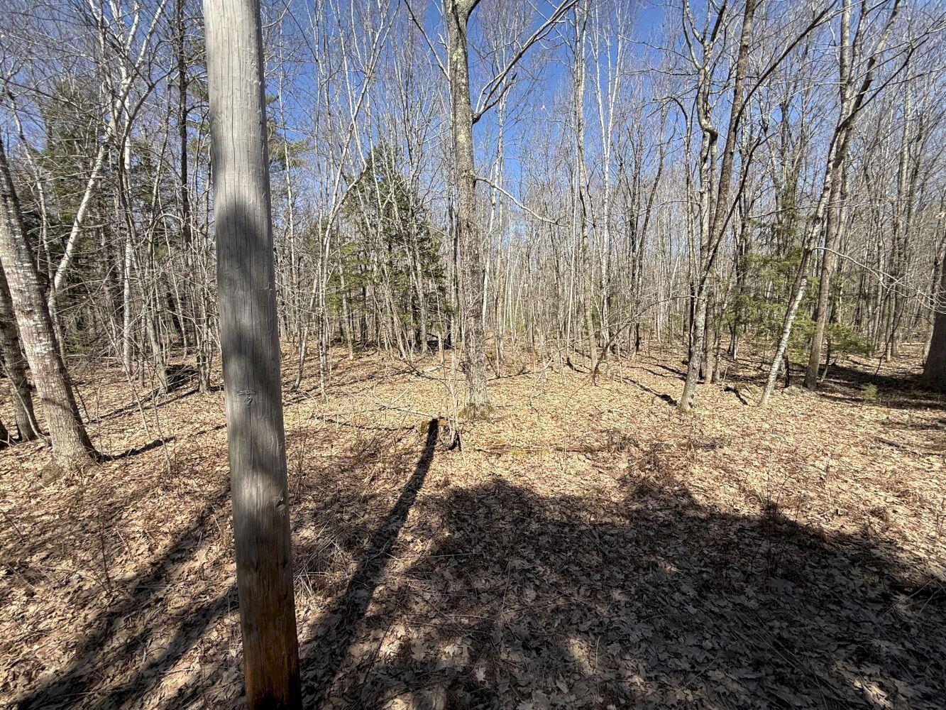 M14-l39 Sandy Point Road Vassalboro, ME 04989 - Photo 2 of 6