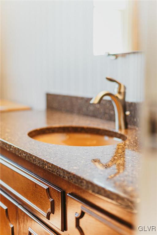 1339 Buck Trail Road Allentown, PA 18104 - Photo 29 of 30 Primary bathroom counter