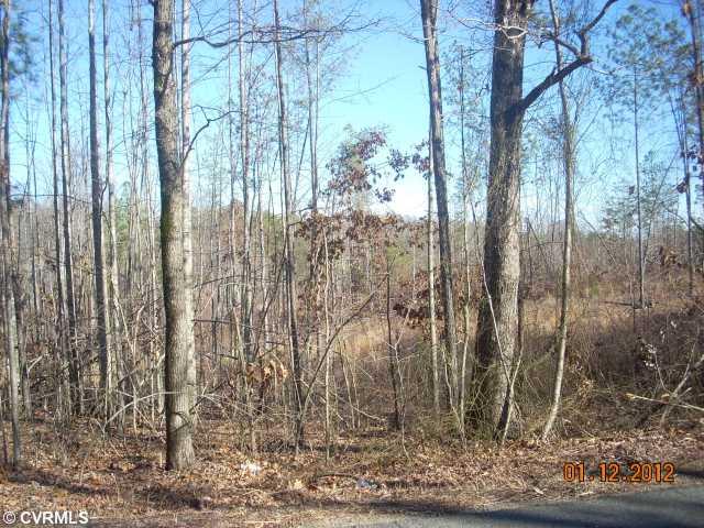 1 Fredericks Hall Road Mineral, VA 23117 - Photo 1 of 1 Gallery Image 1