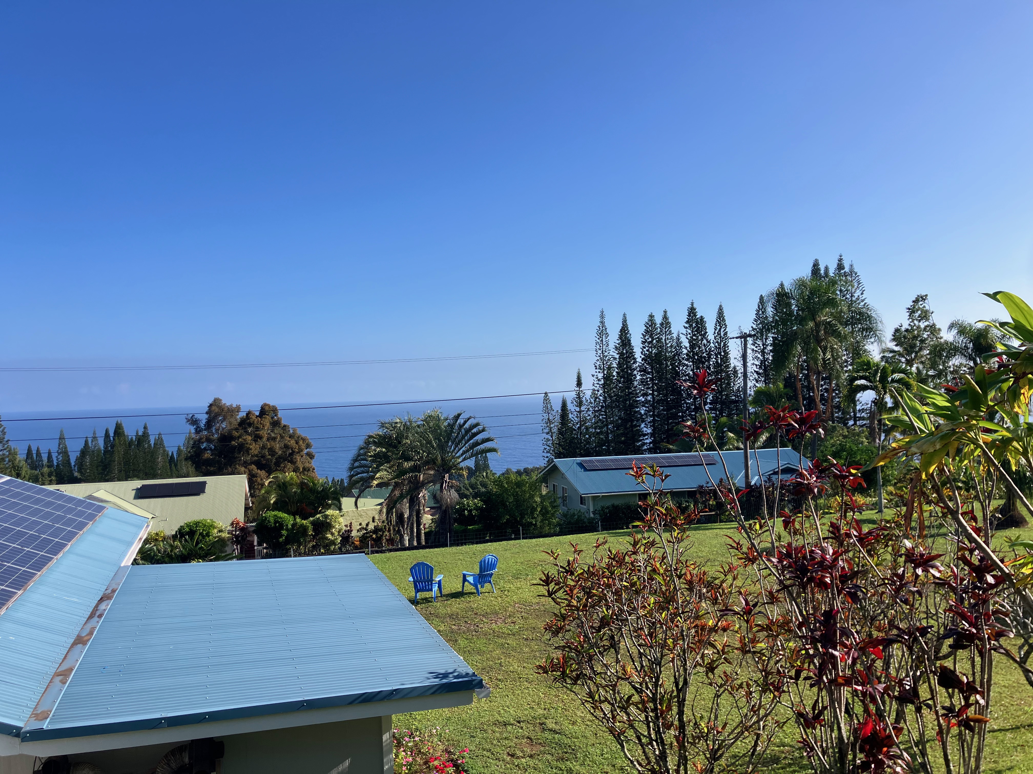 35-173 Kihalani Homestead Road Laupahoehoe, HI 96764 - Photo 23 of 26