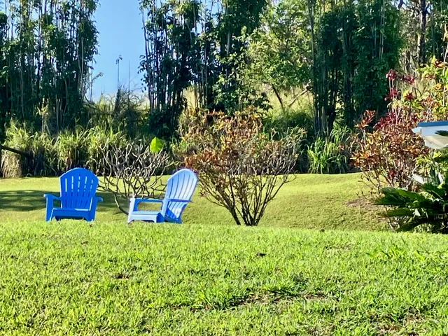 a view of garden with outdoor seating
