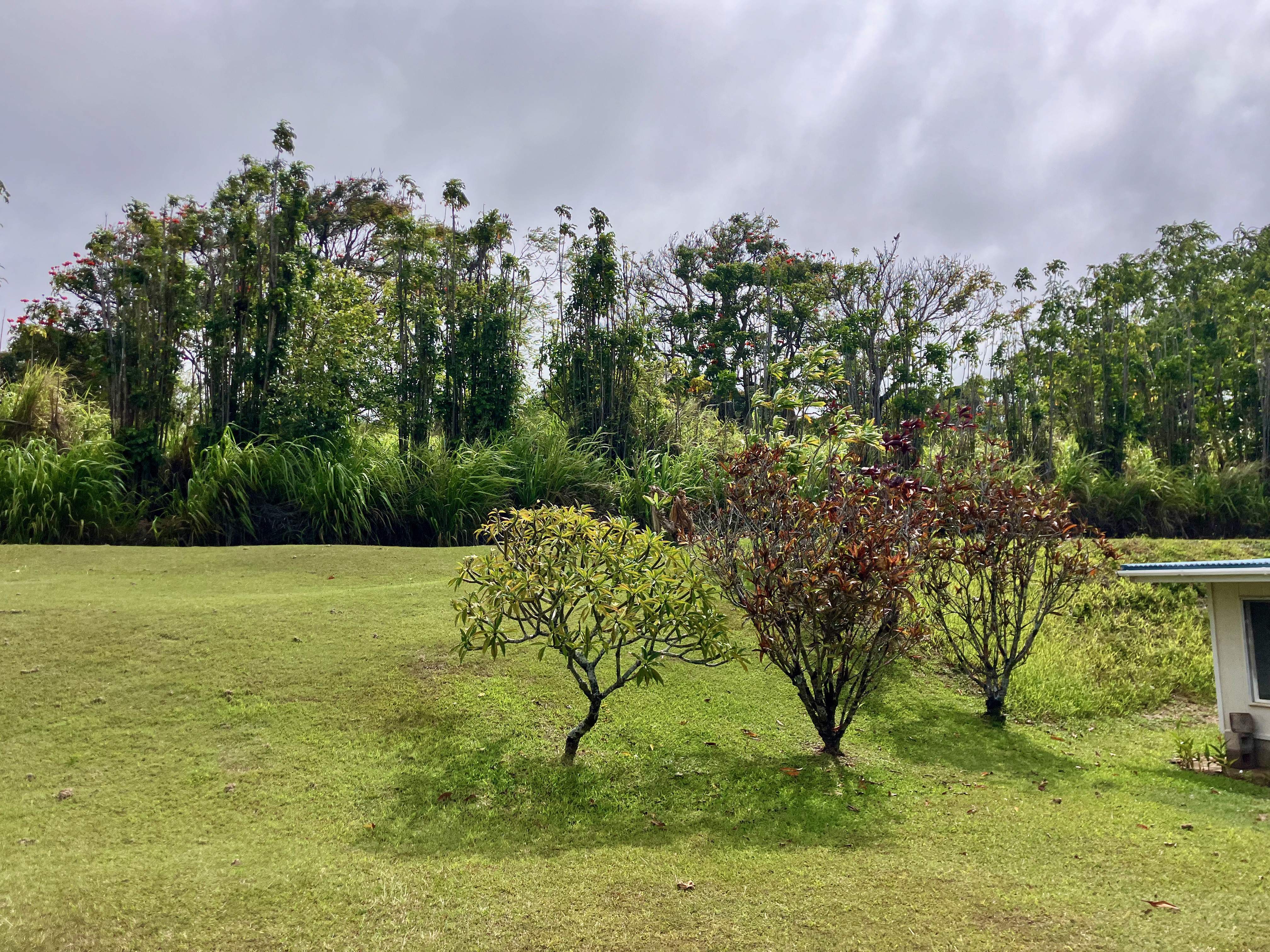 35-173 Kihalani Homestead Road Laupahoehoe, HI 96764 - Photo 7 of 26