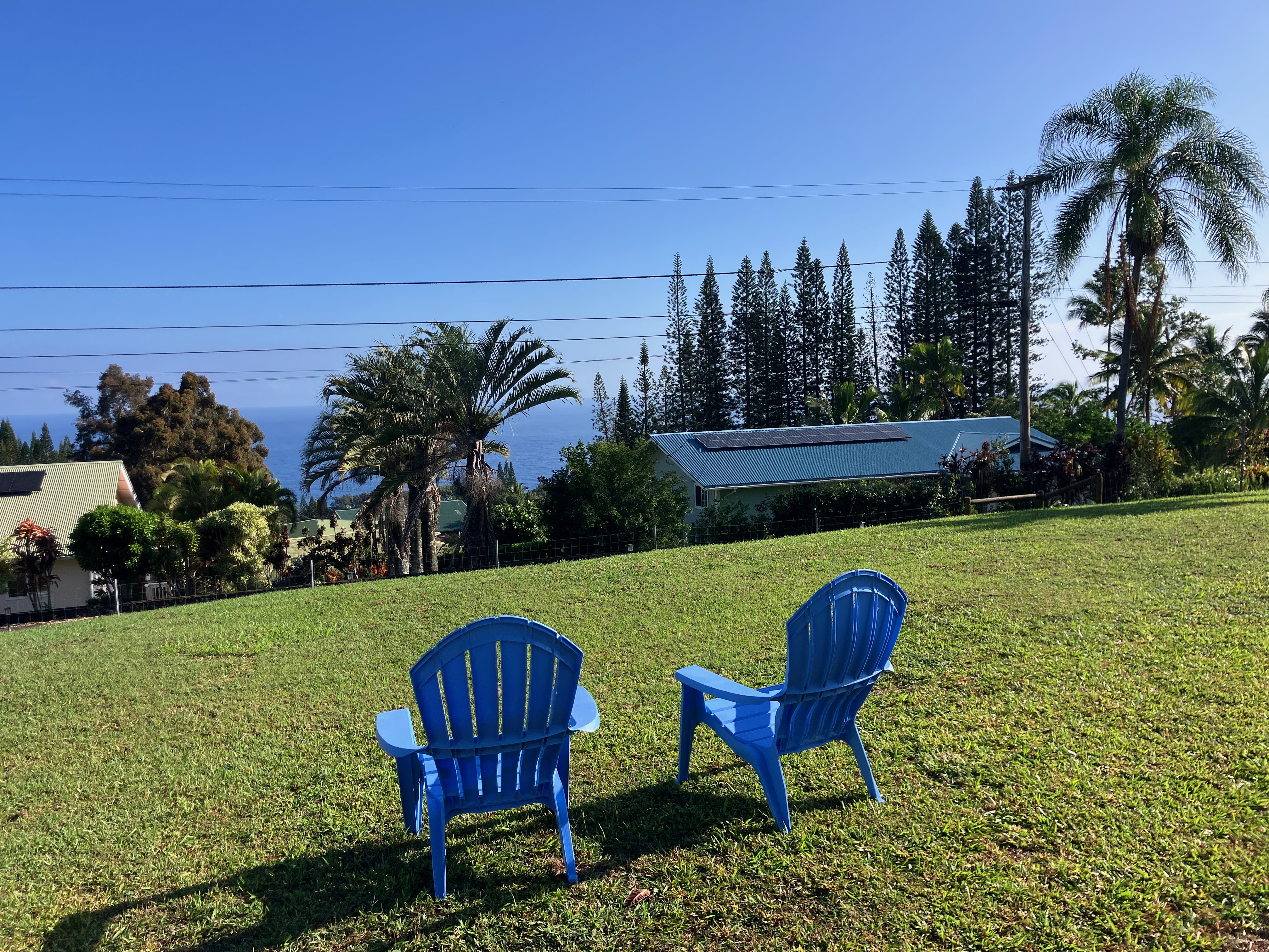 35-173 Kihalani Homestead Road Laupahoehoe, HI 96764 - Photo 8 of 26