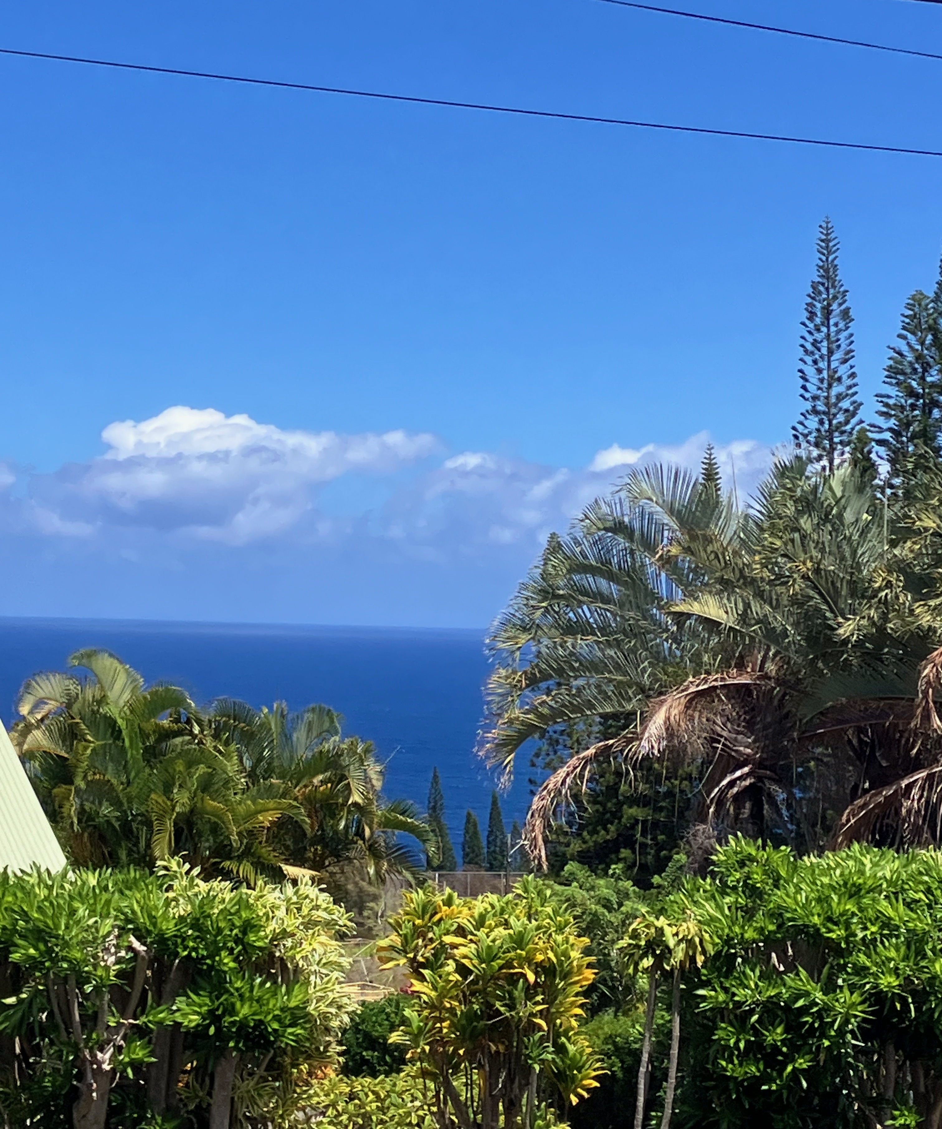 35-173 Kihalani Homestead Road Laupahoehoe, HI 96764 - Photo 9 of 26