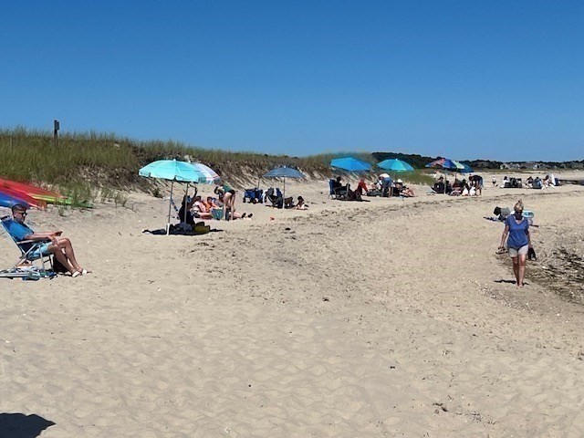 41 Woodland Road Chatham, MA 02659 - Photo 19 of 22 a view of outdoor space with seating area