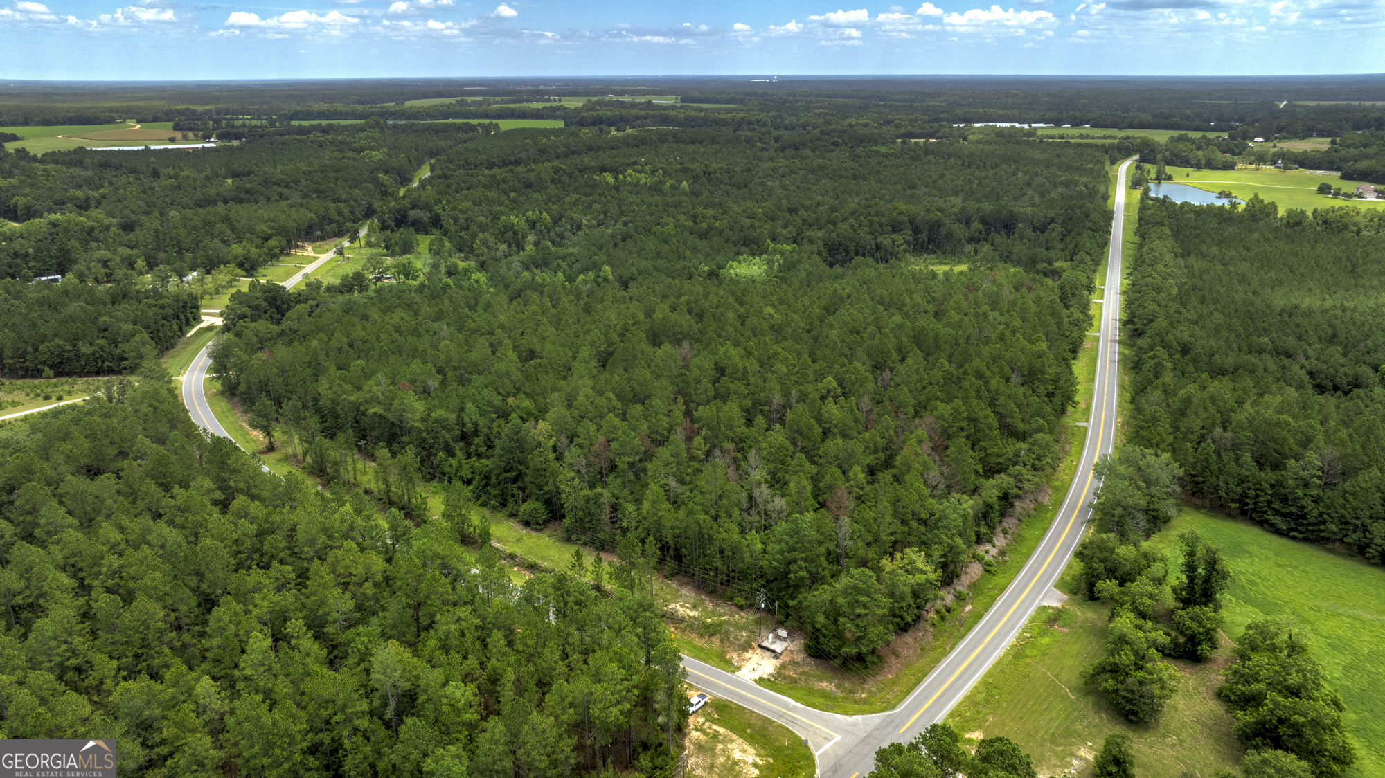 0 Stafford Road Claxton, GA 30417 - Photo 1 of 15 Gallery Image 1