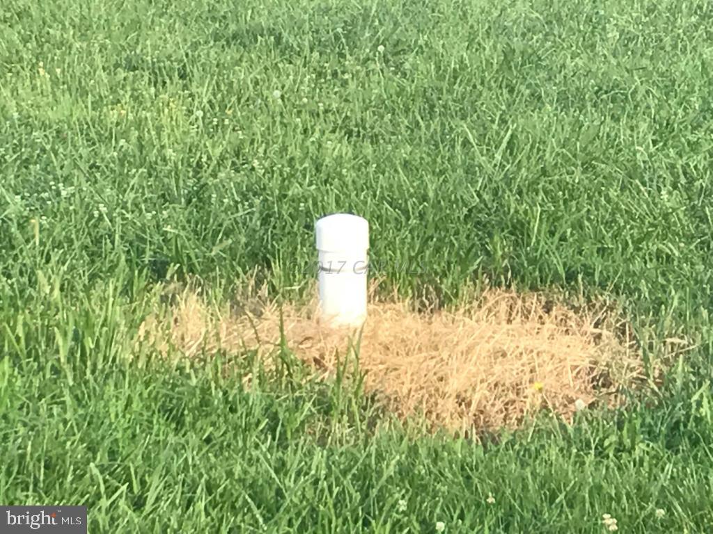 Elsey Road Nanticoke, MD 21840 - Photo 2 of 14