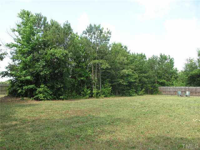 73 Malachite Court Raleigh, NC 27603 - Photo 19 of 19 Back Yard
