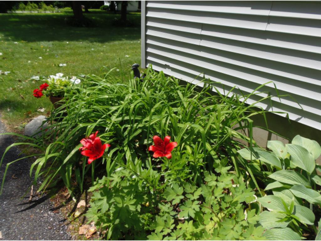347 East Manchester Road Manchester, VT 05255 - Photo 19 of 19 Gallery Image 19