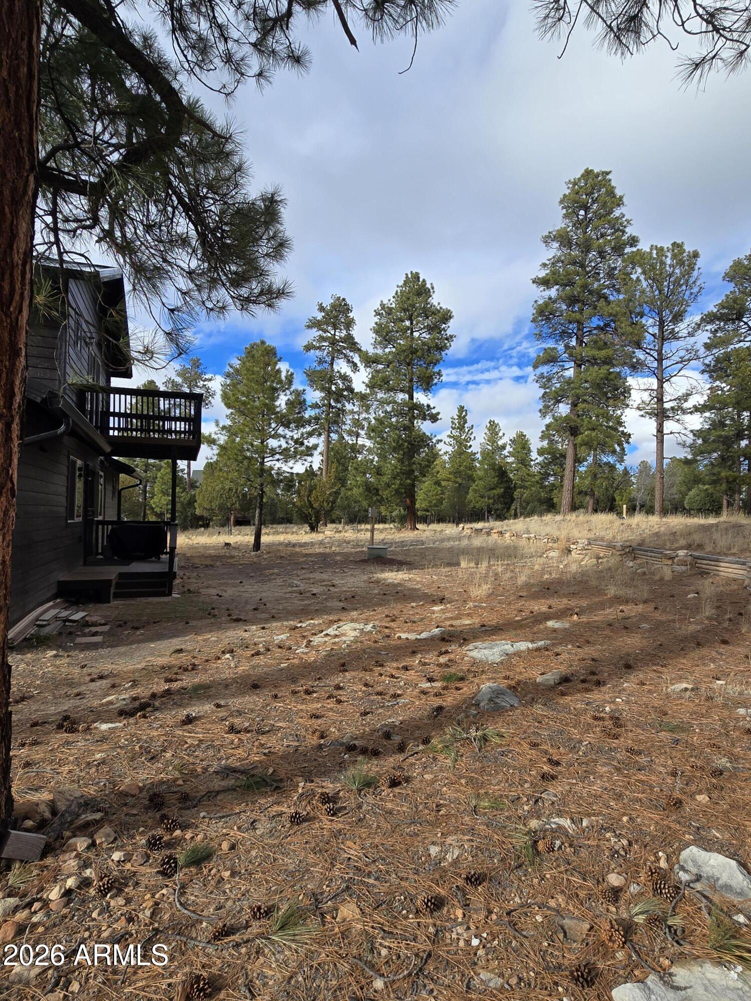2795 Coyote Ridge Happy Jack, AZ 86024 - Photo 24 of 31 a view of road and electric pole on its side