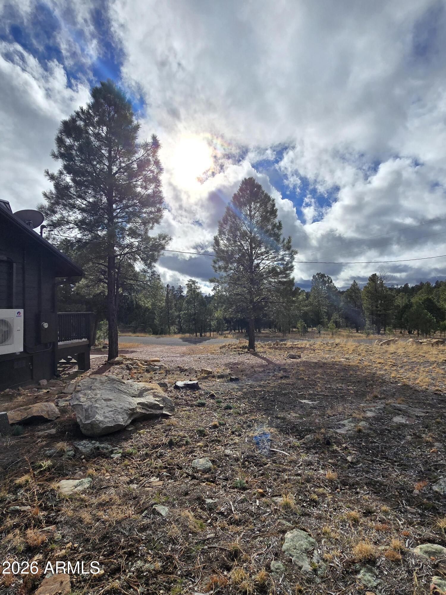 2795 Coyote Ridge Happy Jack, AZ 86024 - Photo 30 of 31 a view of dirt yard and a large tree