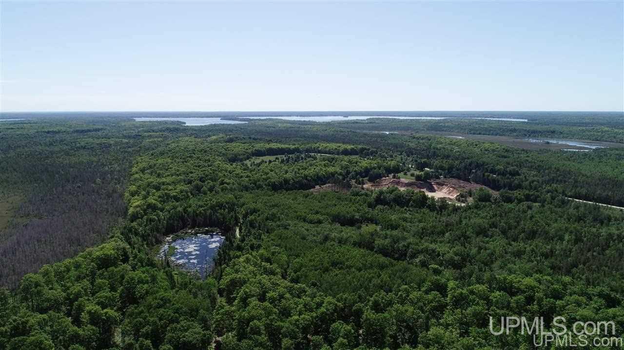 Tbd Off S Curtis Road Germfask, MI 49820 - Photo 15 of 24 Gallery Image 15