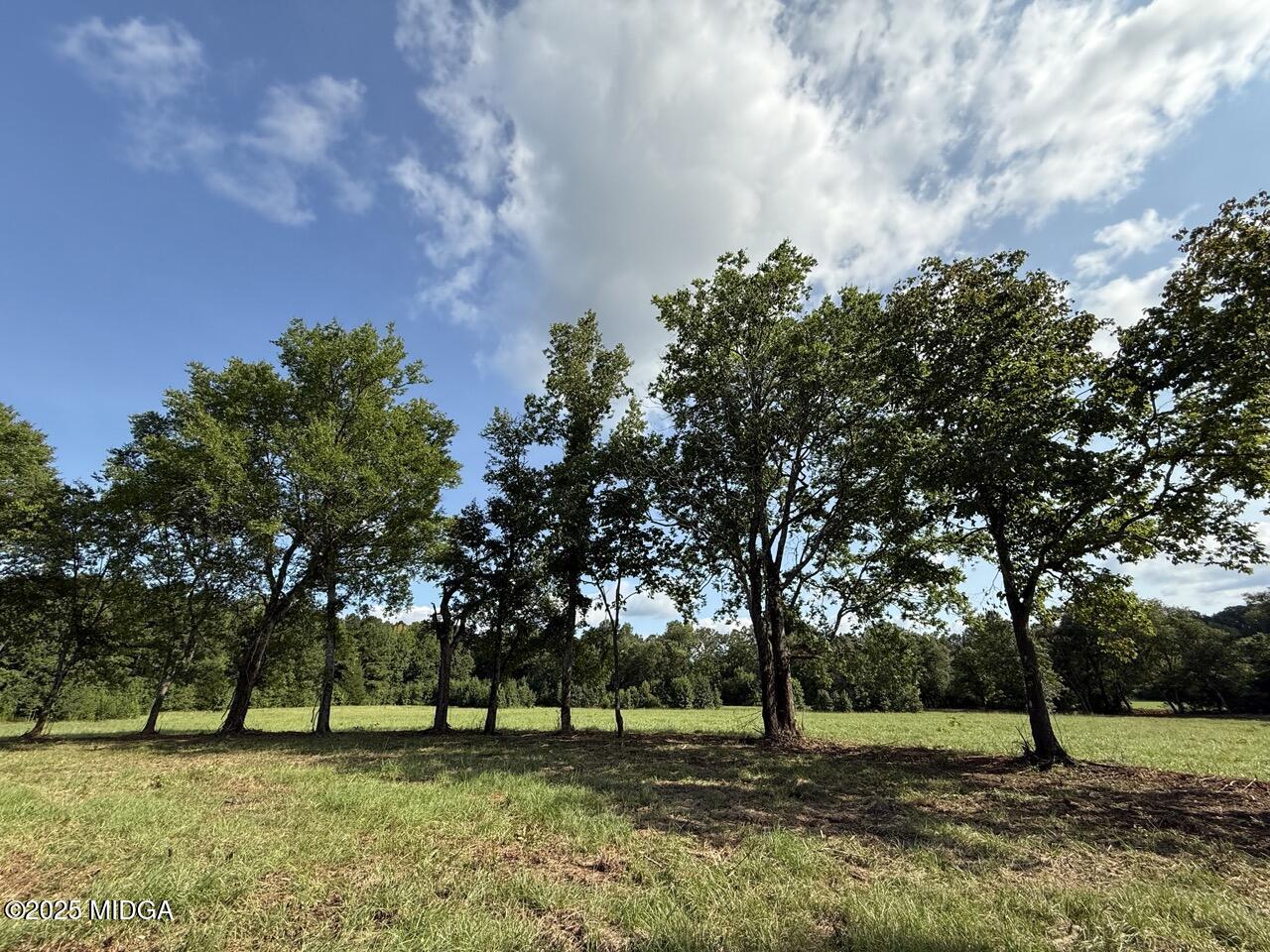 0 Yellow Creek Road Forsyth, GA 31029 - Photo 13 of 22 a view of park with trees